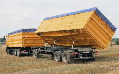 Услуги зерновозов для перевозки зерна - Великий Новгород, цены, предложения специалистов